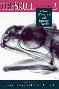 Cover image for The Skull