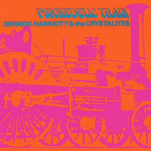 Psychedelic Train Expanded Edition
