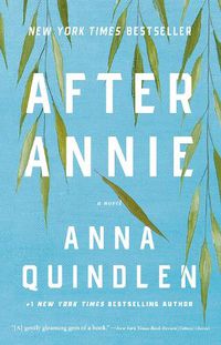 Cover image for After Annie