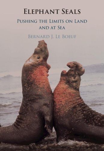 Cover image for Elephant Seals: Pushing the Limits on Land and at Sea