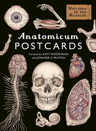 Cover image for Anatomicum Postcard Box