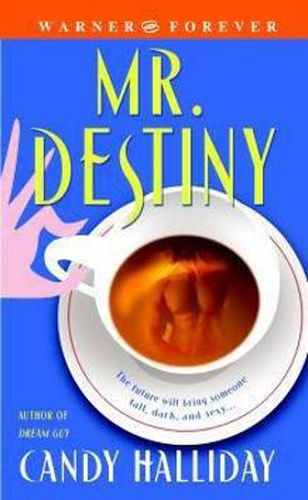 Cover image for Mr Destiny