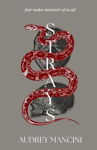 Cover image for Strays