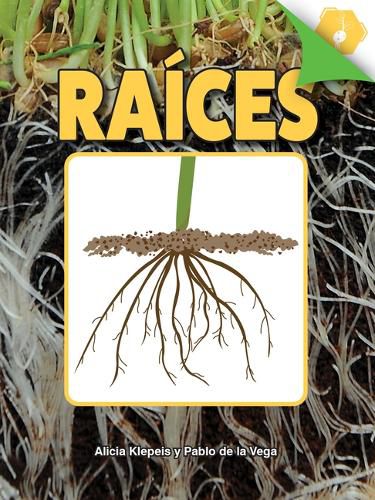 Raices