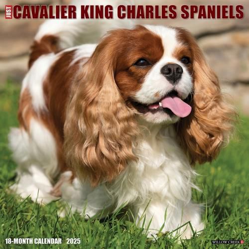 Cover image for Cavalier King Charles Spaniels 2026 12 X 12 Wall Calendar