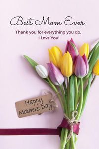 Cover image for Best Mom Ever Mother's Day Journal: Happy Mother's Day Gift Book