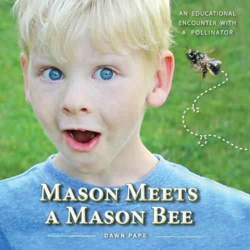 Cover image for Mason Meets a Mason Bee: An Educational Encounter with a Pollinator