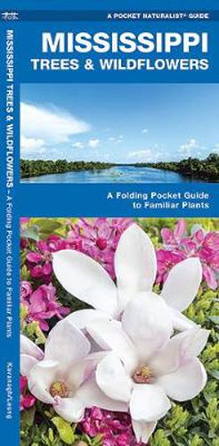 Cover image for Mississippi Trees & Wildflowers: A Folding Pocket Guide to Familiar Species