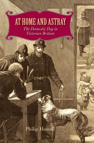 Cover image for At Home and Astray: The Domestic Dog in Victorian Britain