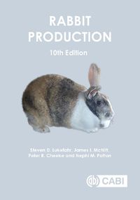 Cover image for Rabbit Production