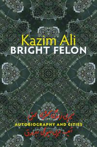 Cover image for Bright Felon