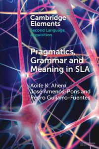 Cover image for Pragmatics, Grammar and Meaning in SLA