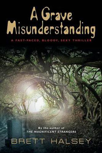 Cover image for A Grave Misunderstanding