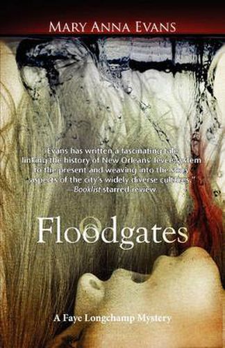 Cover image for Floodgates