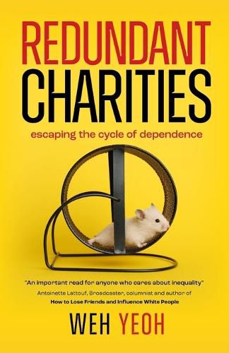 Cover image for Redundant Charities