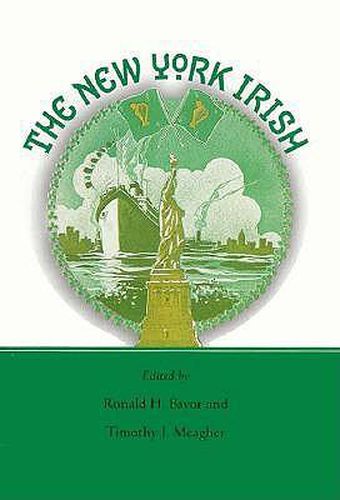 Cover image for The New York Irish