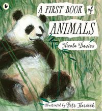 Cover image for A First Book of Animals