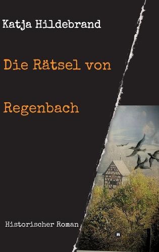 Cover image for Die Ratsel von Regenbach: Historischer Roman