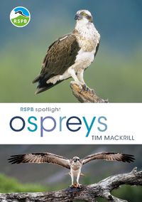 Cover image for RSPB Spotlight Ospreys