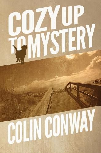 Cover image for Cozy Up to Mystery