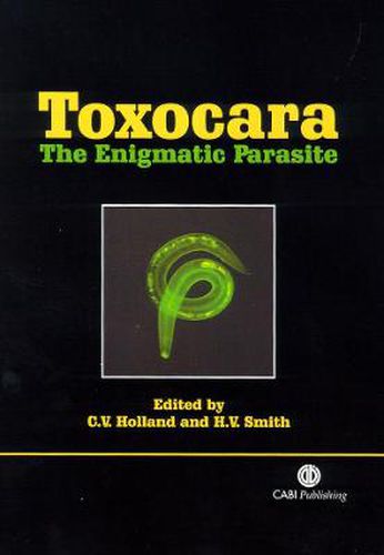 Cover image for Toxocara: The Enigmatic Parasite