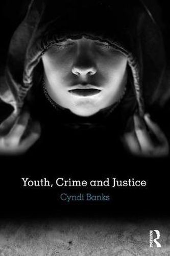 Cover image for Youth, Crime and Justice