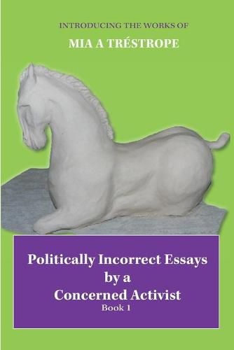 Cover image for Politically Incorrect Essays by a Concerned Activist: Book 1