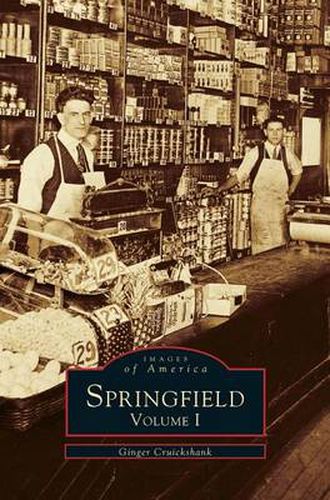 Cover image for Springfield: Volume I