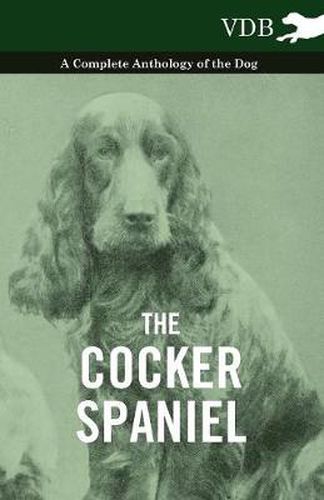 Cover image for The Cocker Spaniel - A Complete Anthology of the Dog -