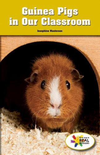 Cover image for Guinea Pigs in Our Classroom