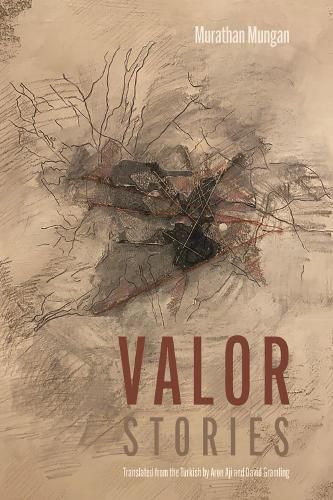 Cover image for Valor: Stories