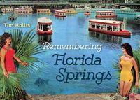 Cover image for Remembering Florida Springs