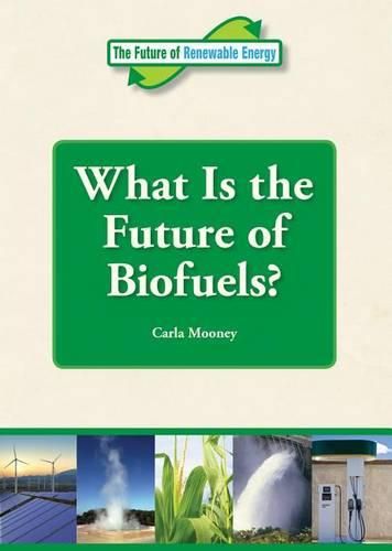 Cover image for What Is the Future of Biofuels?