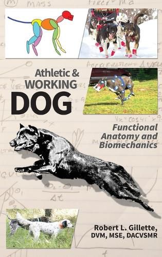 Cover image for Athletic and Working Dog: Functional Anatomy and Biomechanics