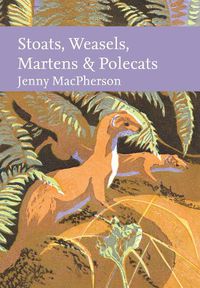 Cover image for Stoats, Weasels, Martens and Polecats