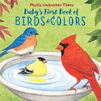 Cover image for Baby's First Book of Birds & Colors
