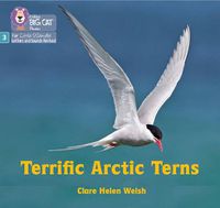 Cover image for Terrific Arctic Terns: Phase 3 Set 2