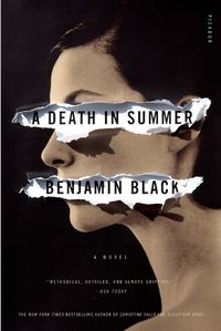 Cover image for A Death in Summer