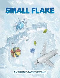 Cover image for Small Flake