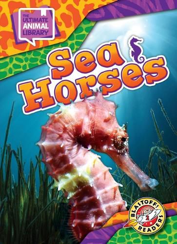 Cover image for Sea Horses