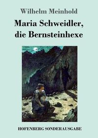 Cover image for Maria Schweidler, die Bernsteinhexe