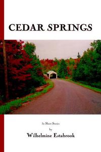 Cover image for Cedar Springs: 30 Short Stories