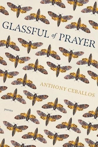 Cover image for Glassful of Prayer