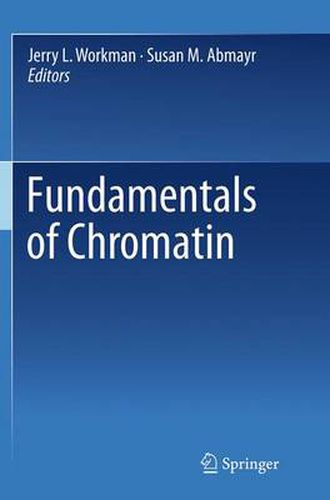 Cover image for Fundamentals of Chromatin