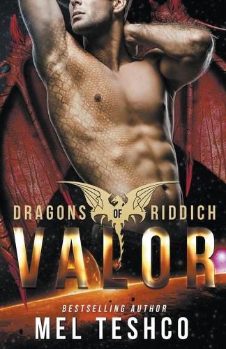 Cover image for Valor