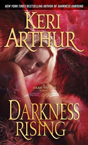 Cover image for Darkness Rising: A Dark Angels Novel