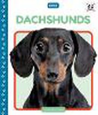 Cover image for Dachshunds