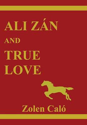 Cover image for Ali Zan and True Love