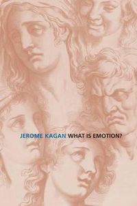 Cover image for What Is Emotion?: History, Measures, and Meanings