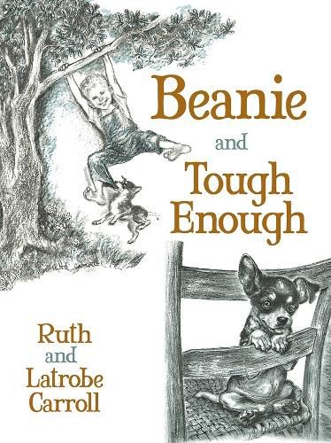 Cover image for Beanie and Tough Enough